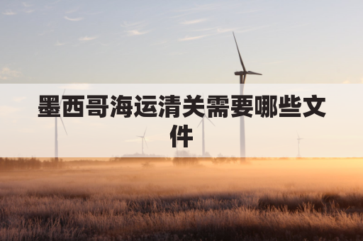 墨西哥海运清关需要哪些文件(墨西哥清关费大概多少)