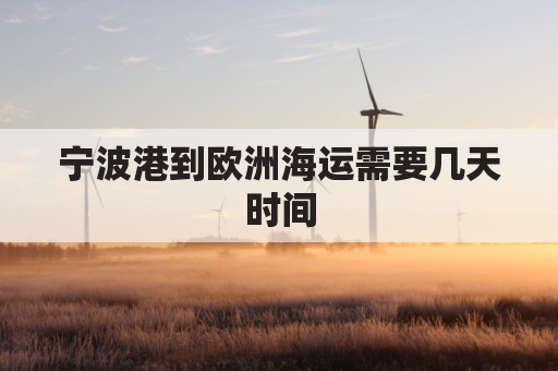 宁波港到欧洲海运需要几天时间(宁波海运 欧洲)