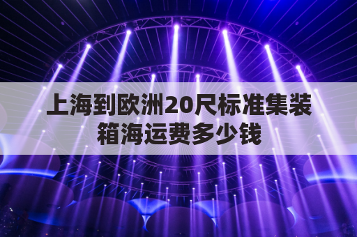 上海到欧洲20尺标准集装箱海运费多少钱(上海到欧洲海运价格)