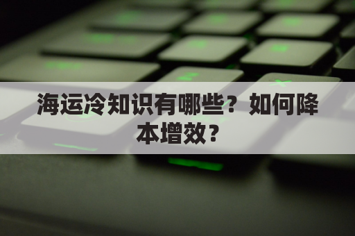 海运冷知识有哪些？如何降本增效？