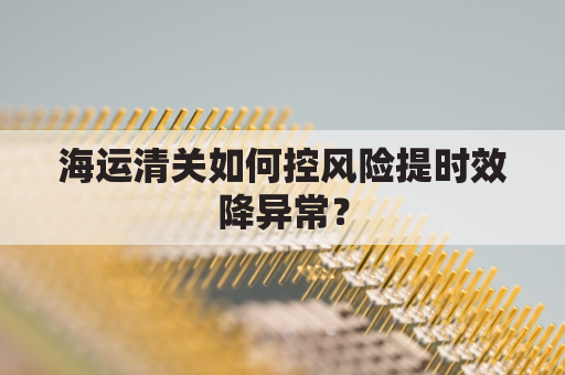 海运清关如何控风险提时效降异常？