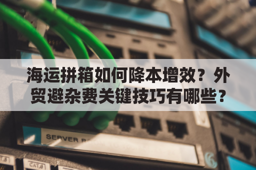 海运拼箱如何降本增效？外贸避杂费关键技巧有哪些？