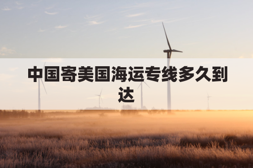 中国寄美国海运专线多久到达(从中国寄到美国的海运)