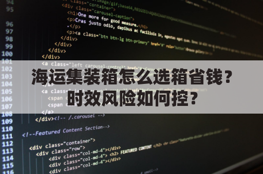 海运集装箱怎么选箱省钱？时效风险如何控？