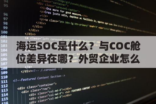 海运SOC是什么？与COC舱位差异在哪？外贸企业怎么选？