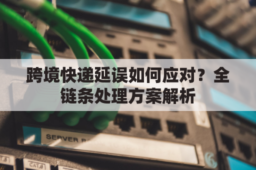 跨境快递延误如何应对？全链条处理方案解析