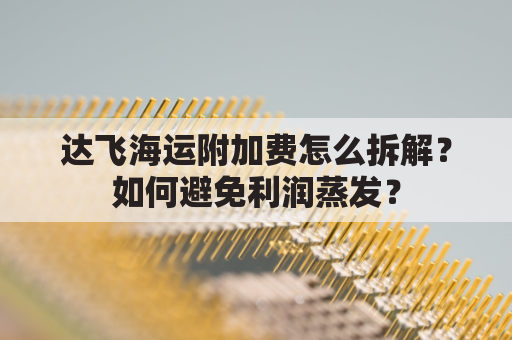 达飞海运附加费怎么拆解？如何避免利润蒸发？