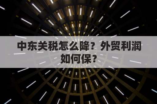 中东关税怎么降？外贸利润如何保？