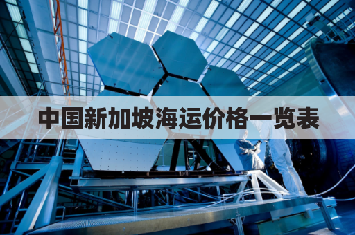 中国新加坡海运价格一览表(新加坡官方海运集运)