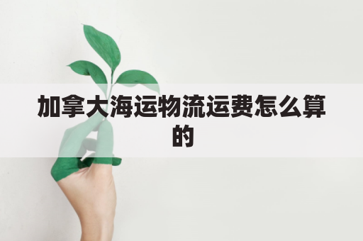 加拿大海运物流运费怎么算的(到加拿大海运)