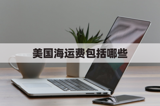 美国海运费包括哪些(美国海运费用)