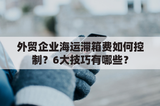 外贸企业海运滞箱费如何控制？6大技巧有哪些？