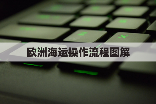 欧洲海运操作流程图解(欧洲海运现在怎么了)