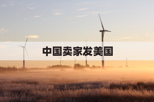 中国卖家发美国，USPS和UPS怎么选更划算？