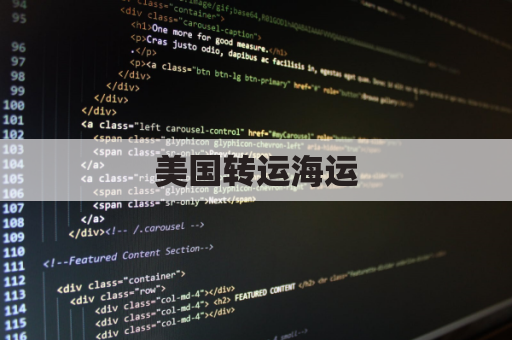 美国转运海运(美国专线海运)