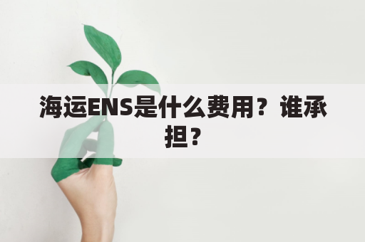 海运ENS是什么费用？谁承担？