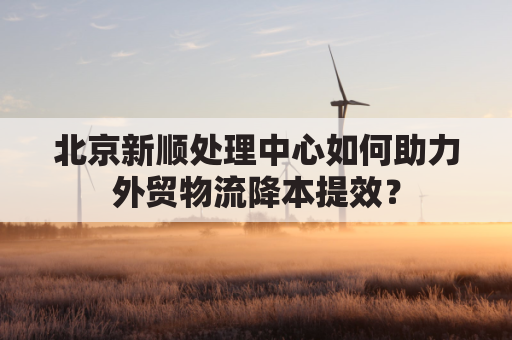 北京新顺处理中心如何助力外贸物流降本提效？