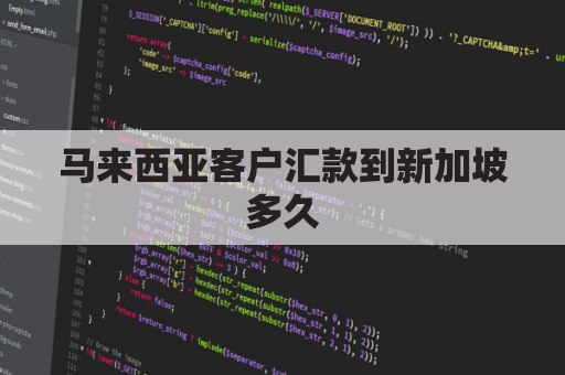 马来西亚客户汇款到新加坡多久(往马来西亚汇款)