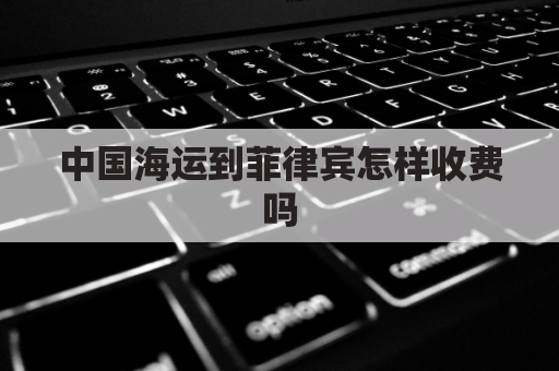 中国海运到菲律宾怎样收费吗(中国到菲律宾货运)