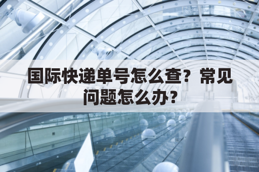 国际快递单号怎么查?常见问题怎么办?