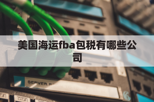 美国海运fba包税有哪些公司(美国fba关税)
