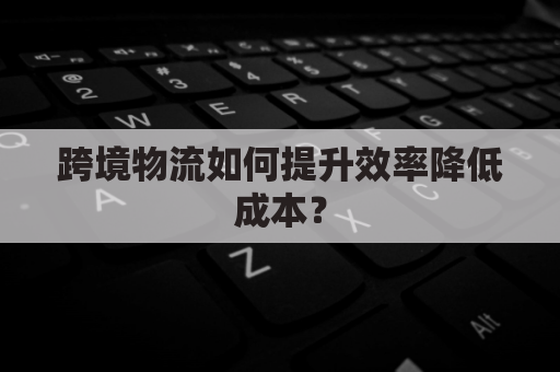 跨境物流如何提升效率降低成本?