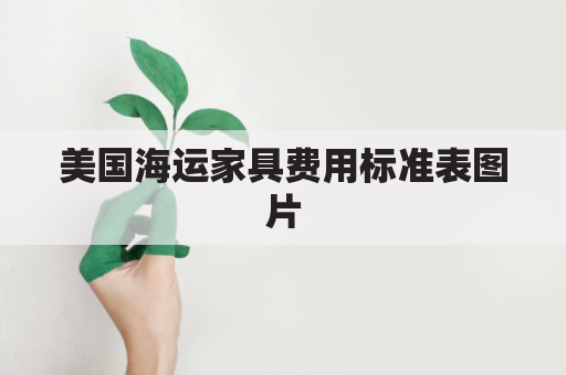 美国海运家具费用标准表图片(美国海运家具费用标准表图片大全)
