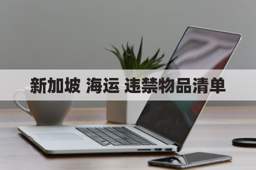 新加坡 海运 违禁物品清单(新加坡海运清关严吗)
