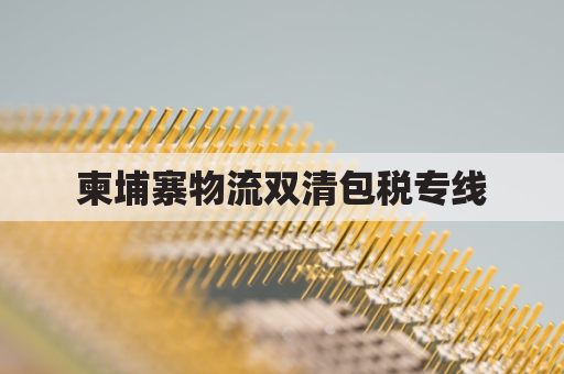 柬埔寨物流双清包税专线(柬埔寨的物流)