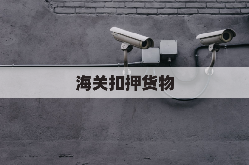 海关扣押货物,堆存费由谁承担?