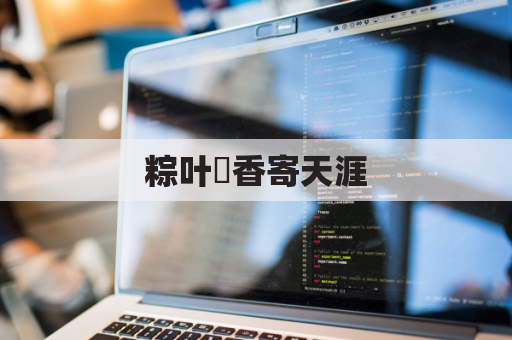 粽叶飄香寄天涯,端午味蕾飄澳州