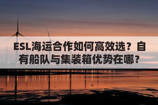 ESL海运合作如何高效选?自有船队与集装箱优势在哪?