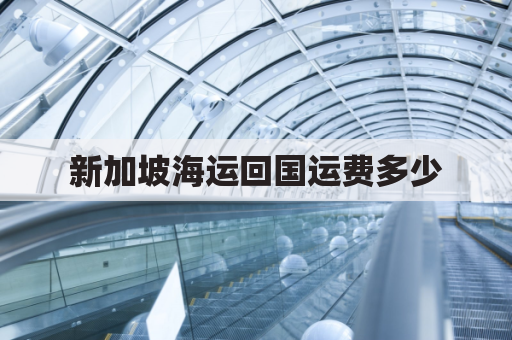 新加坡海运回国运费多少(新加坡海运行李回国)