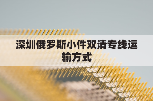 深圳俄罗斯小件双清专线运输方式(俄罗斯陆运出口双清)