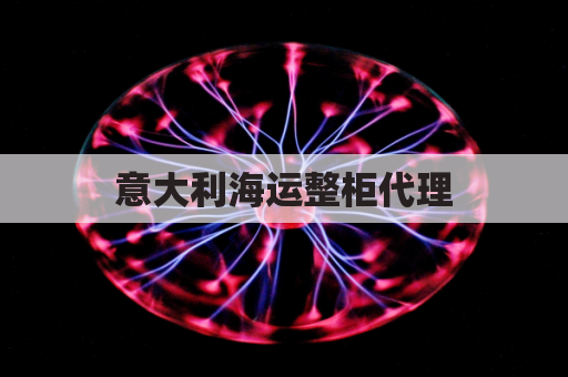 意大利海运整柜代理(意大利货运代理公司)