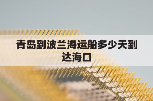 青岛到波兰海运船多少天到达海口(青岛到宁波海运需要几天)
