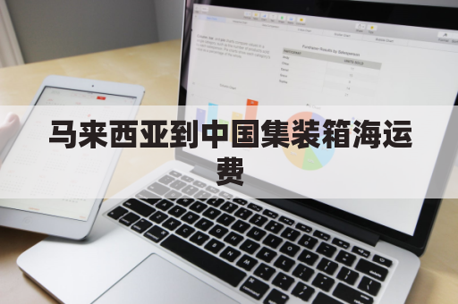 马来西亚到中国集装箱海运费(马来西亚货运到中国)