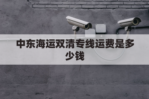中东海运双清专线运费是多少钱(中东海运双清专线运费是多少钱一吨)