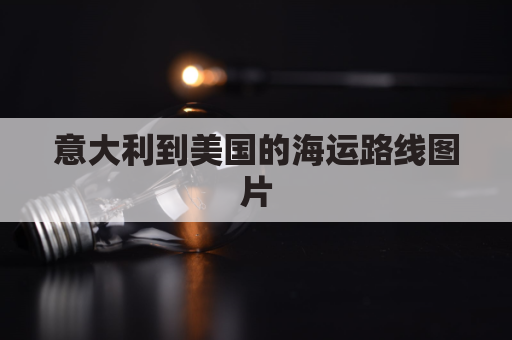意大利到美国的海运路线图片(意大利到美国的海运路线图片大全)