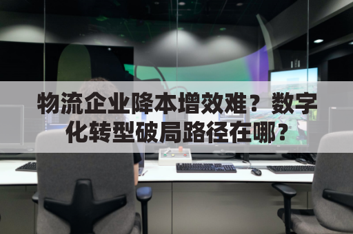 物流企业降本增效难?数字化转型破局路径在哪?