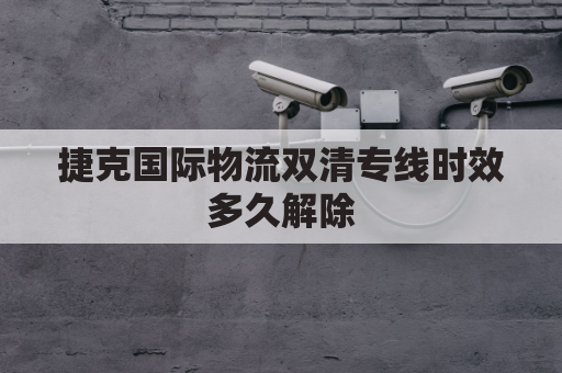 捷克国际物流双清专线时效多久解除(捷克清关问题最新)