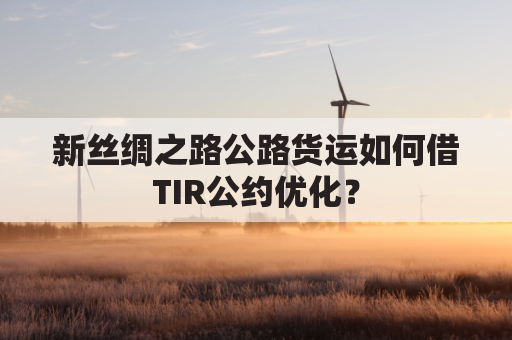 新丝绸之路公路货运如何借TIR公约优化?