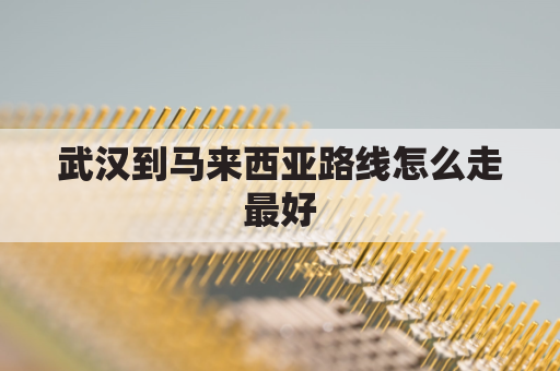武汉到马来西亚路线怎么走最好(武汉到马来西亚要多久)