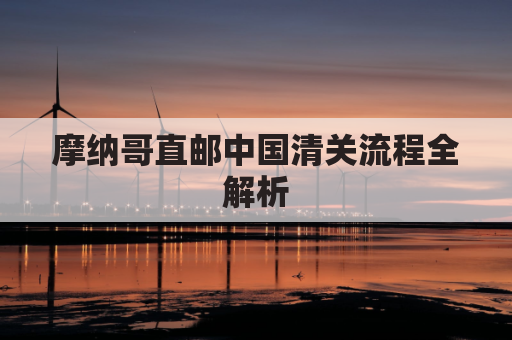 摩纳哥直邮中国清关流程全解析