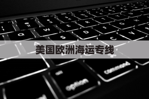 美国欧洲海运专线(美国到欧洲海运航线)
