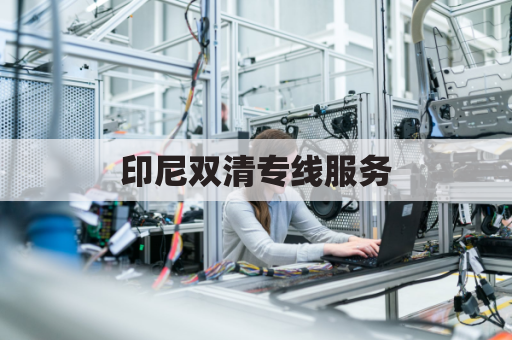 印尼双清专线服务(印尼双清到门)