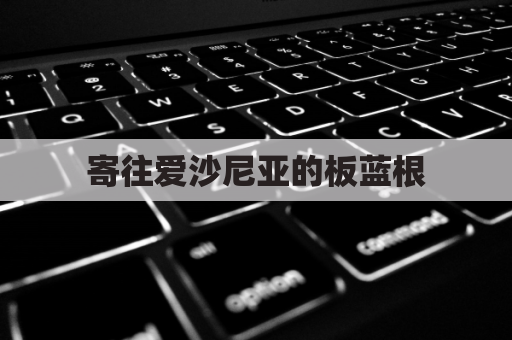 寄往爱沙尼亚的板蓝根