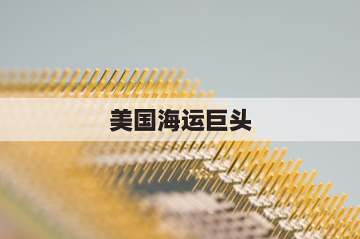 美国海运巨头(美国 海运公司)
