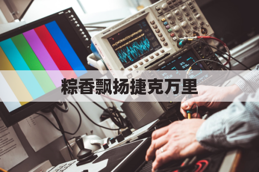 粽香飘扬捷克万里,包裹美味跨越国界