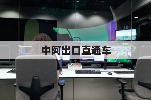 中阿出口直通车,高效畅达阿联酋